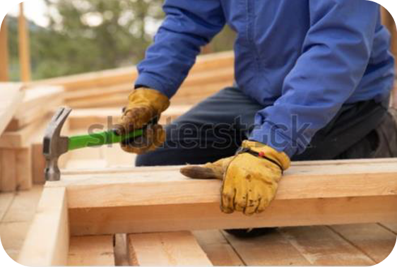 木々のイラスト